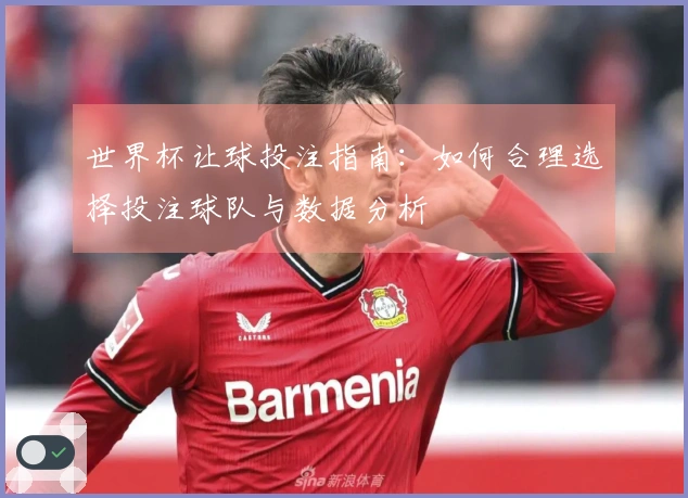 世界杯让球投注指南：如何合理选择投注球队与数据分析