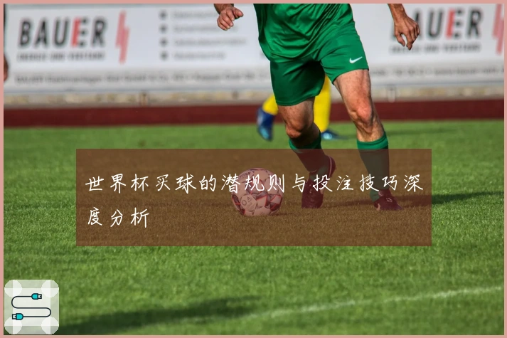 世界杯买球的潜规则与投注技巧深度分析