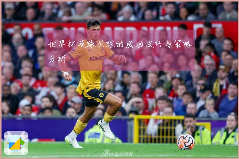 世界杯滚球买球的成功技巧与策略分析