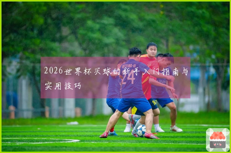 2026世界杯买球的新手入门指南与实用技巧
