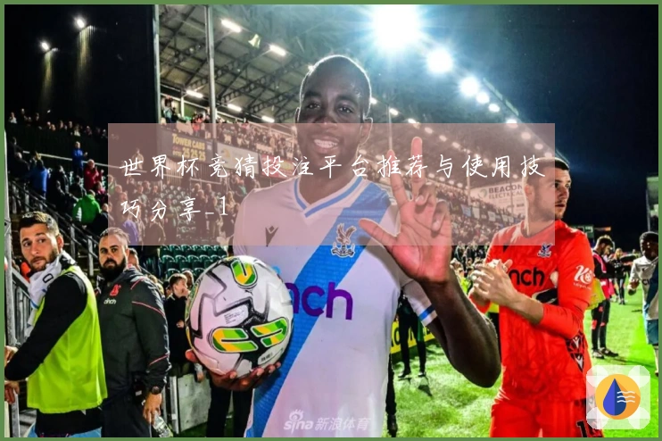 世界杯竞猜投注平台推荐与使用技巧分享_1