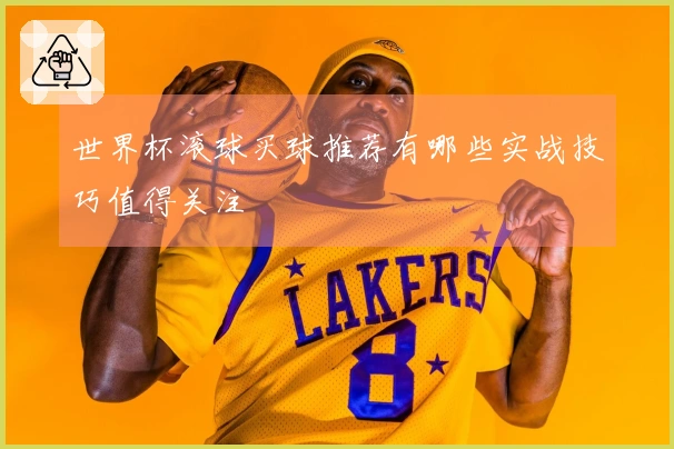 世界杯滚球买球推荐有哪些实战技巧值得关注